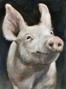 Portretten van dieren 