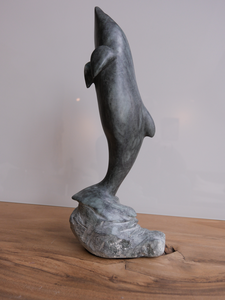 De oceanen staan onder grote druk. Er leeft zoveel moois dat wij mensen moeten koesteren. Wereldwijd worden afspraken gemaakt om 10% van de oceanen als beschermd natuurgebied aan te merken. Alleen dan kan het leven dat de mensen daar vernietigen zich weer herstellen en handhaven.