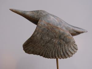 Overal om ons heen zien we vogels, en gelukkig is de Ijsvogel in volle glorie ook in stedelijk gebied meer te zien