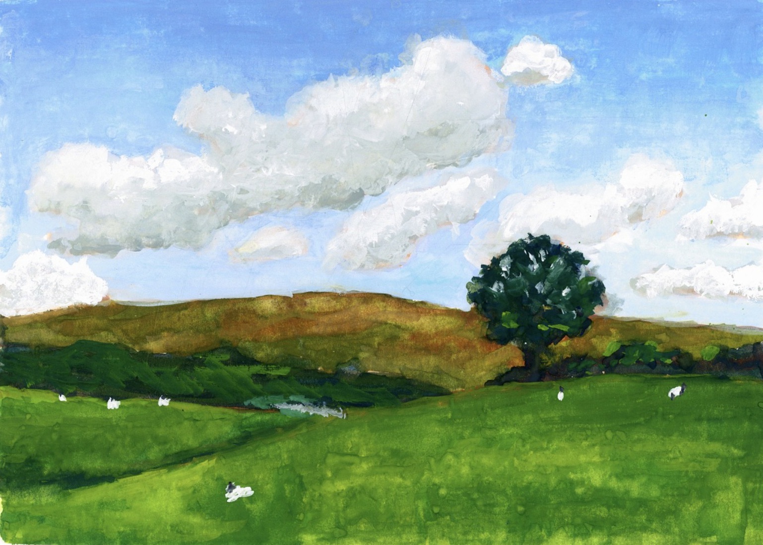 De vallei van Swaledale