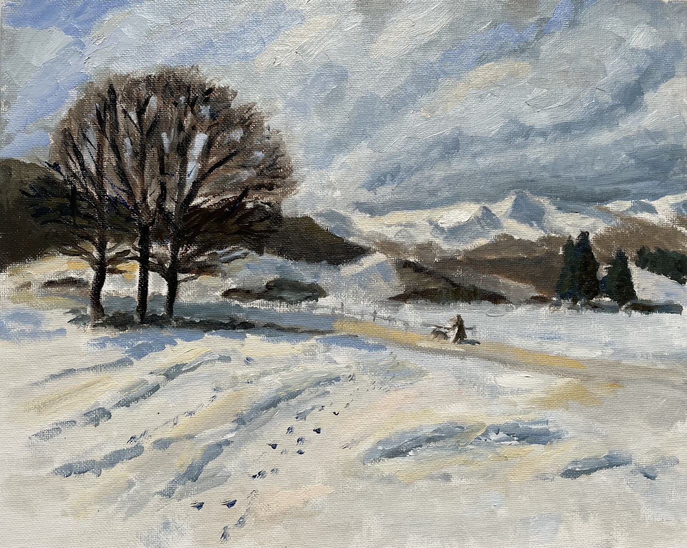 Winterlandschap met wandelaar