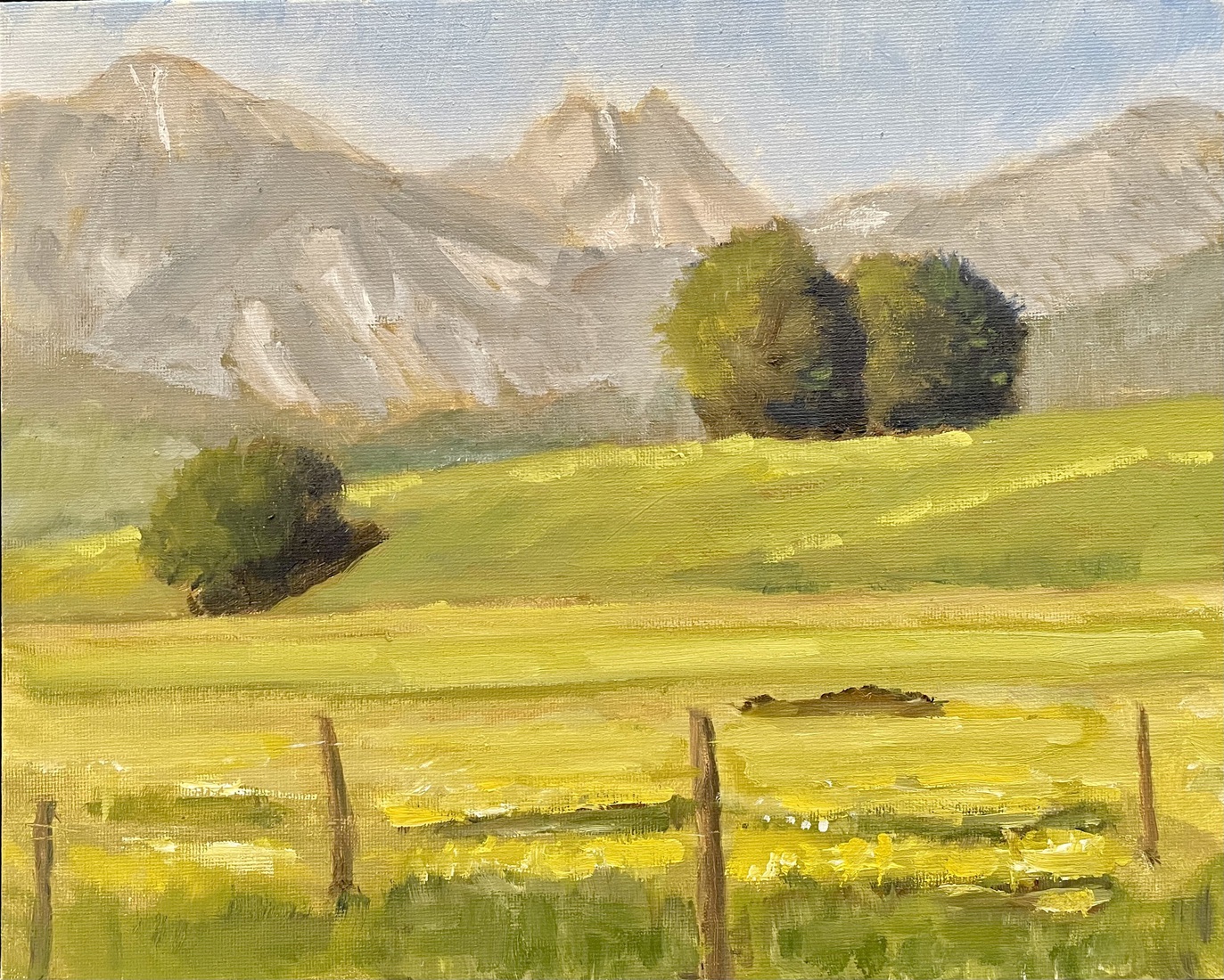 Alpenlandschap met bomen