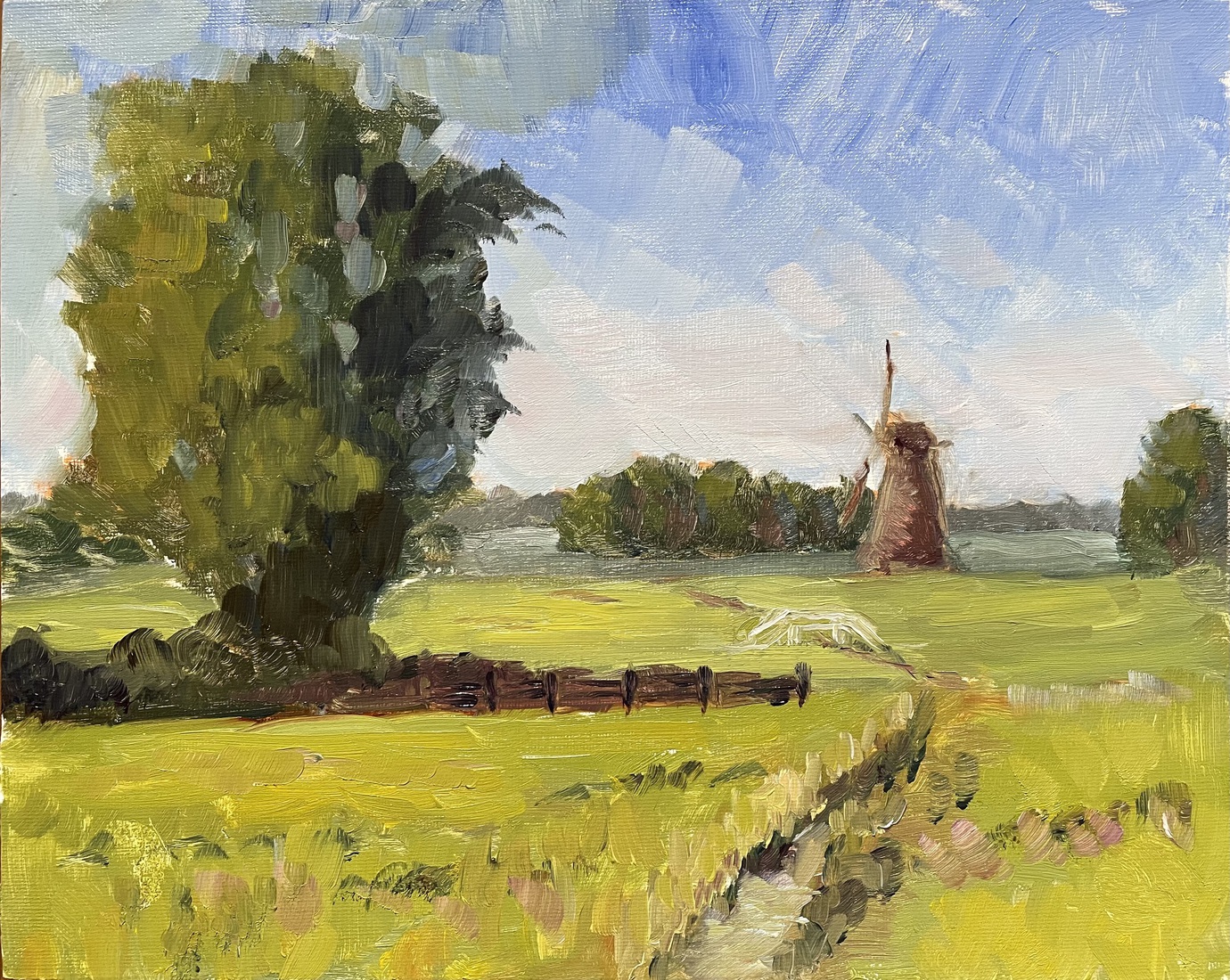 Polder bij Leiderdorp