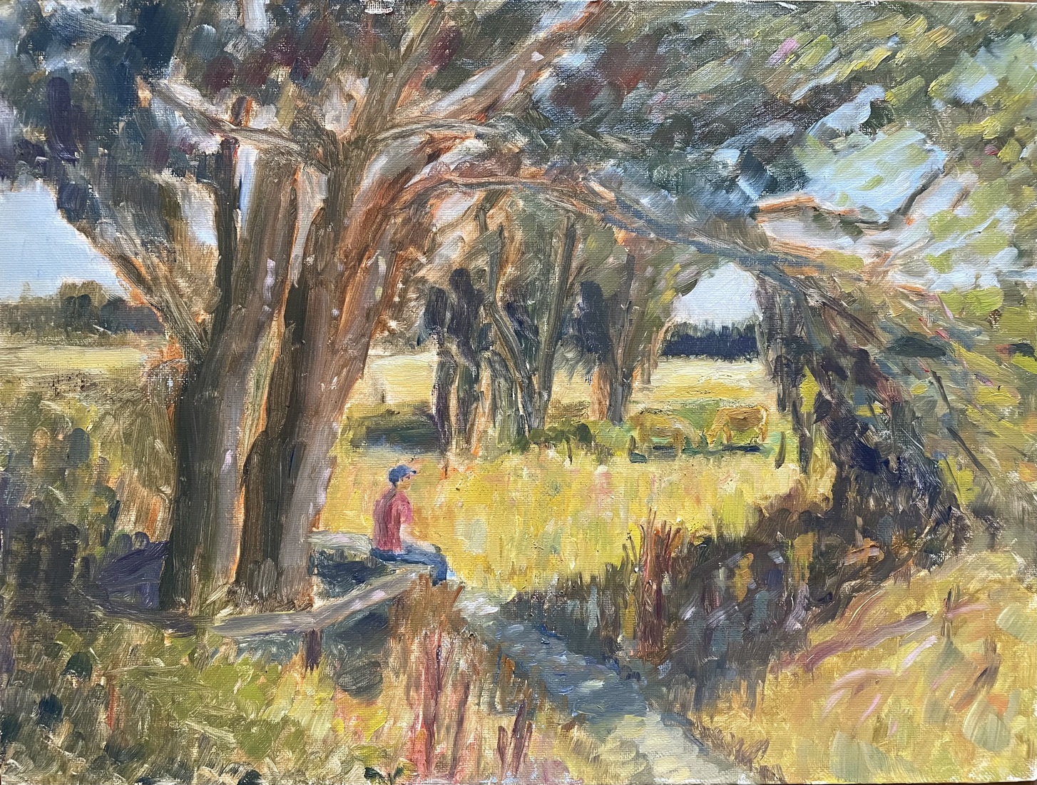Anders Diepje, Drenthe