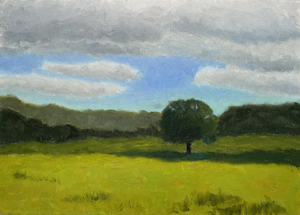 Kleine serie, verkenning van een landschap in verschillende jaargetijden