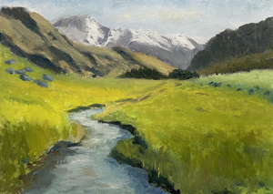 Landschappen geïnspireerd door de natuur van Nieuw-Zeeland. Ik bezocht dit prachtige land in 2010/2011 en ben recent geïnspireerd door werk van hedendaagse Nieuw-Zeelandse schilders, in het bijzonder Samuel Earp.