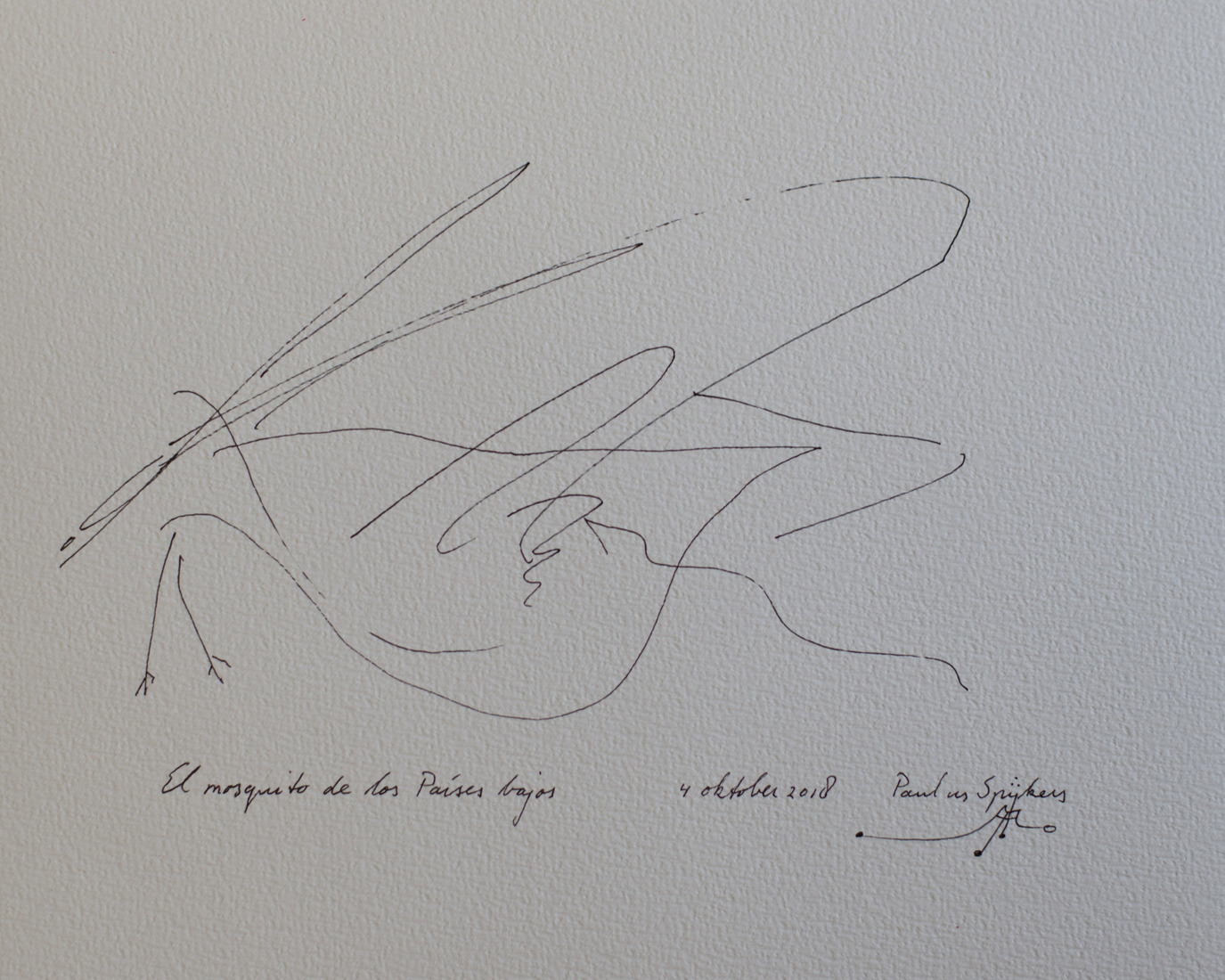 El mosquito de los Países Bajos