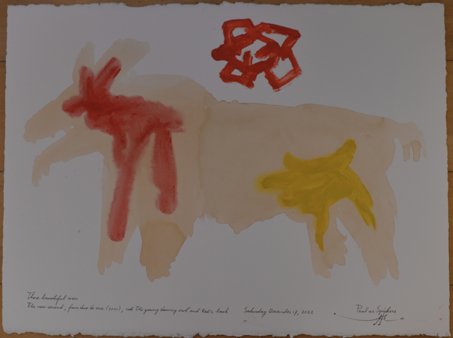 Those beautiful roses