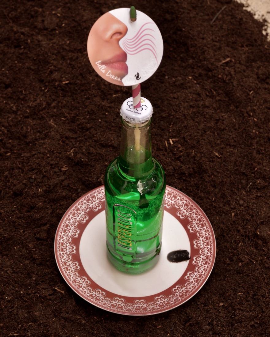 More than a Donna rose