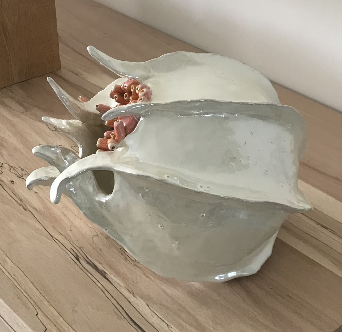 Oceaan sculptuur met poliepen