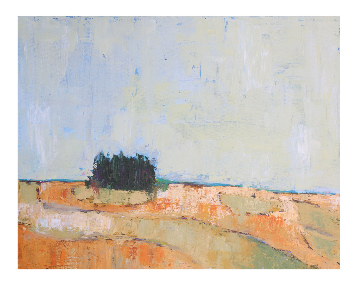 Landschap 11