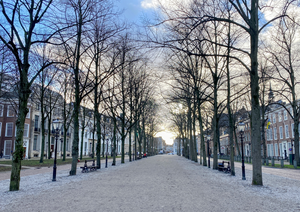 Photos for ordering postcards