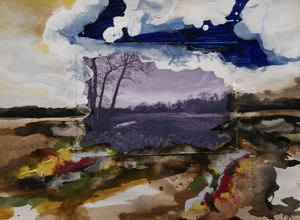 Foto's van een landschap vormen de basis voor een schilderij. 