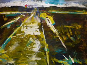 foto's Mookerheide en natuurbegraafplaats Mookerheide als uitgangspunt voor een abstract landschap