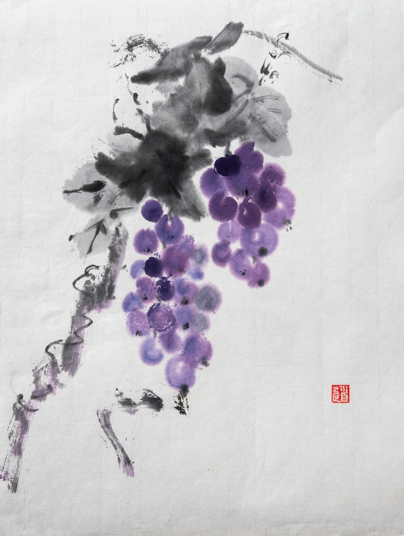 Blauwe druiventrossen