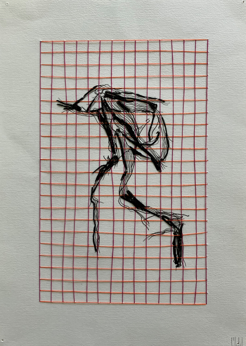 takkenvogel 6