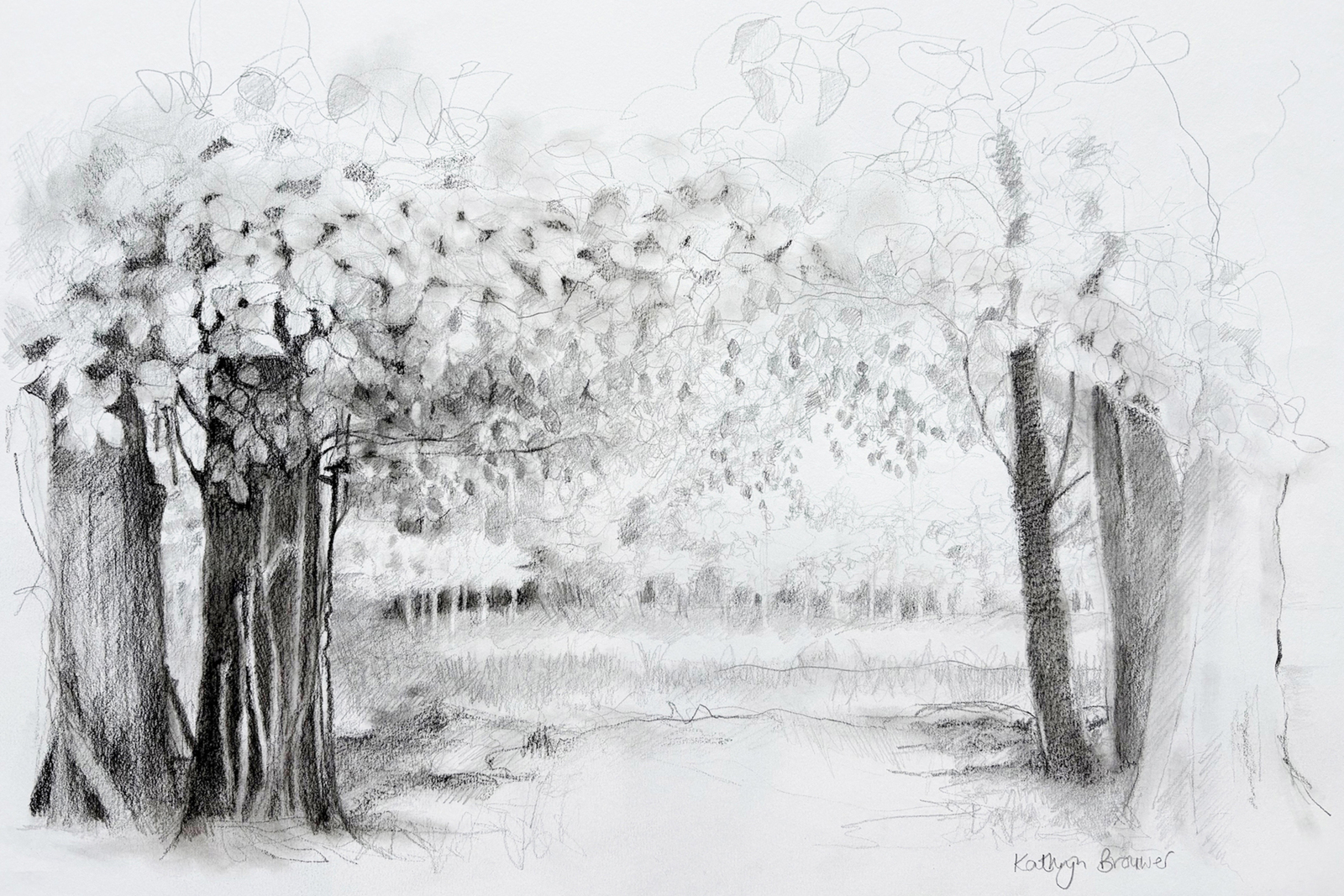 Een kijk door de bomen