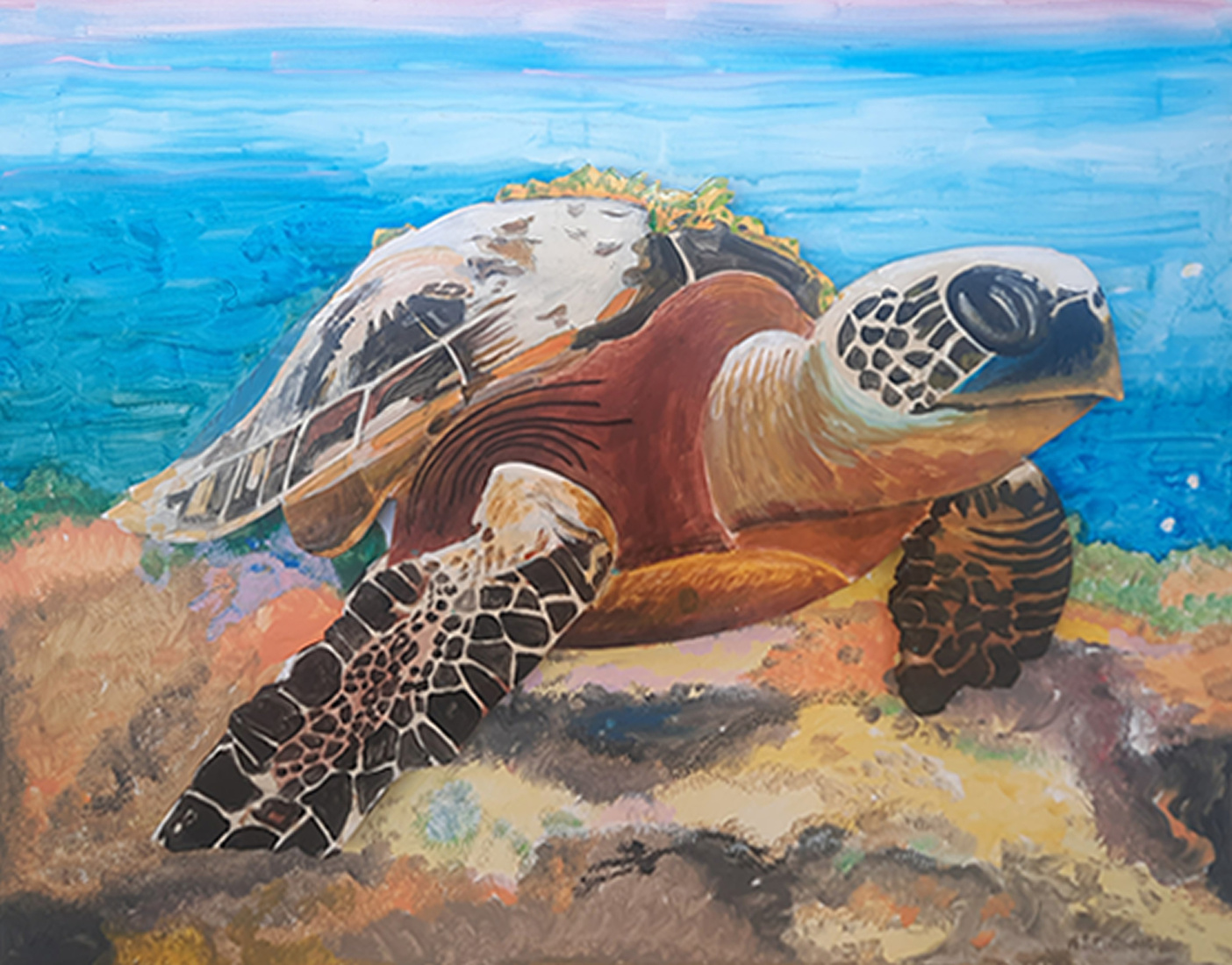 Schilpad in de Stille Zuidzee onderwater