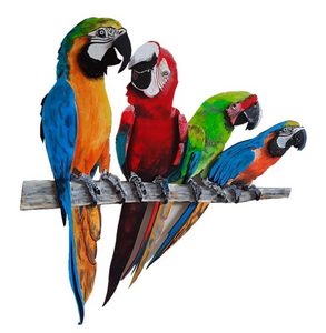 Beschilderde vogels. Uitgesneden uit 10 mm dik zacht karton met harde top en onderlaag.
Naast en gedeeltelijk over elkaar heen geplakt.