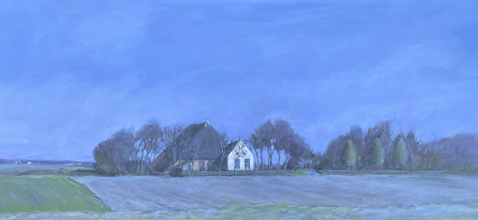 Landschap boerderij bij Kimswerd