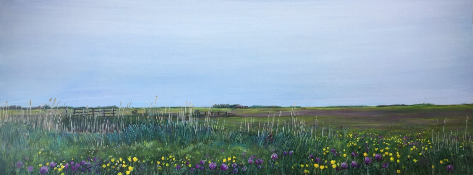 Weide landschap bij Hegewiersterfjild