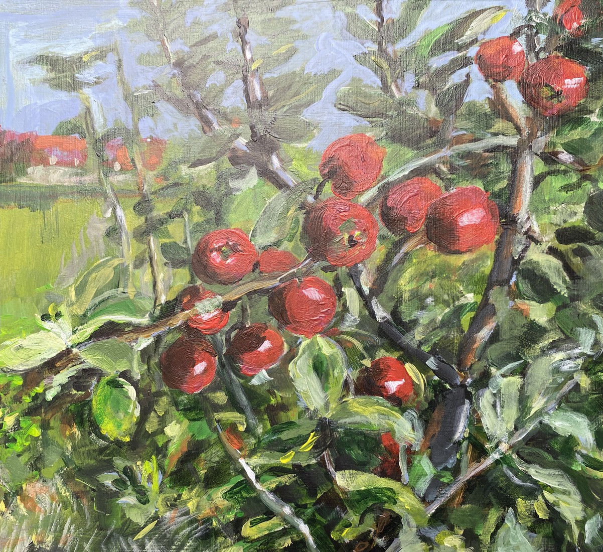 appels en peren 2