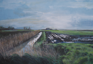 Landschappen van het Friese land, omgeving Harlingen, de kust. 