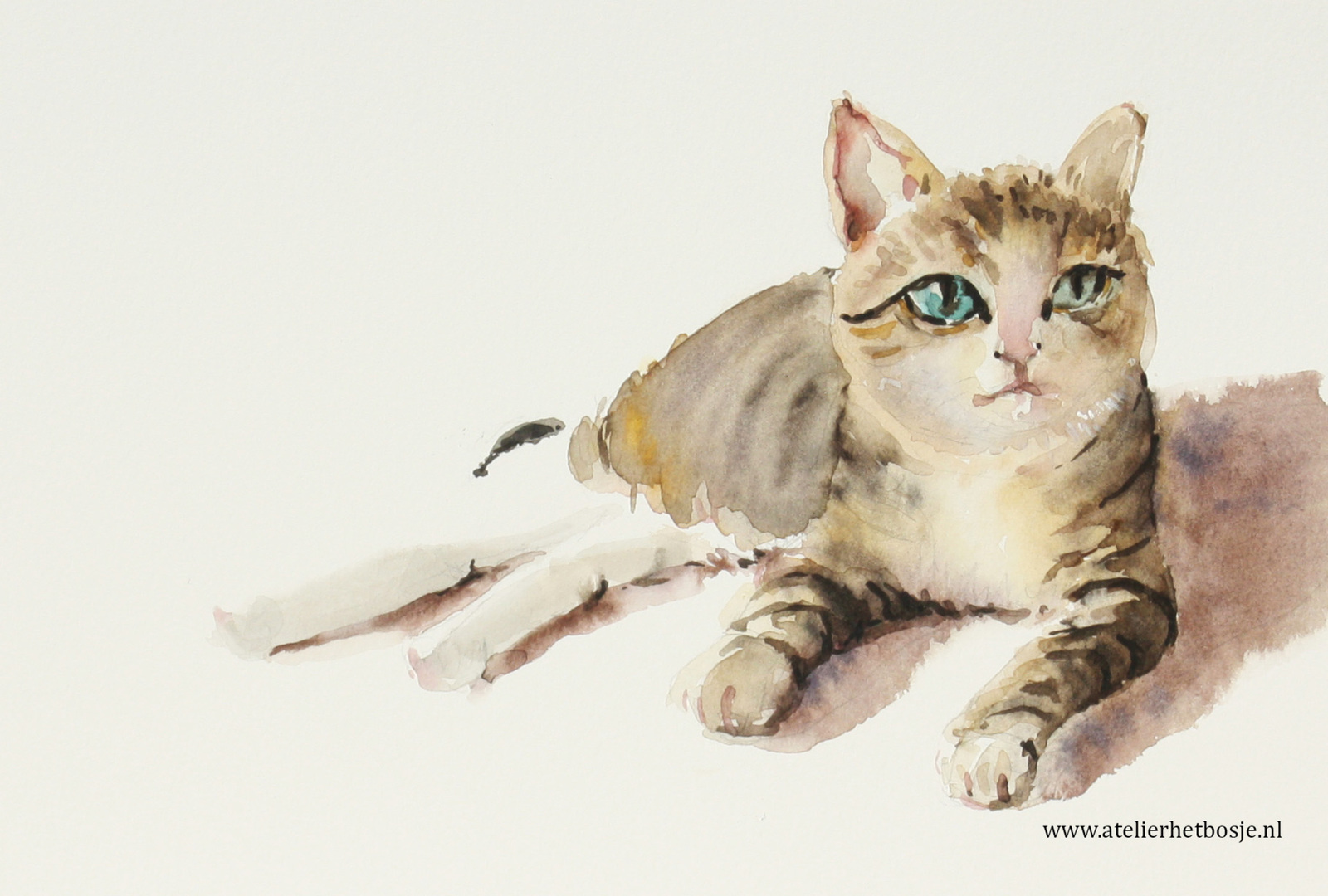 Little cat