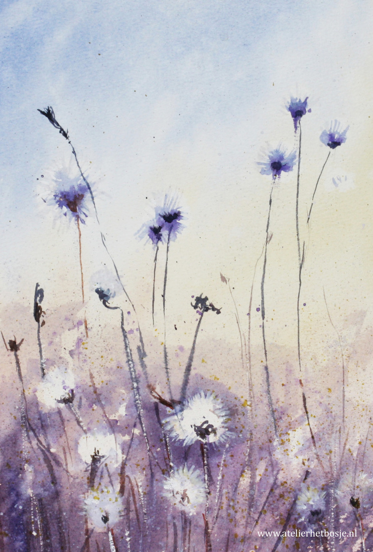 Spring dandelion