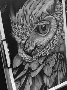 de kracht van de natuur