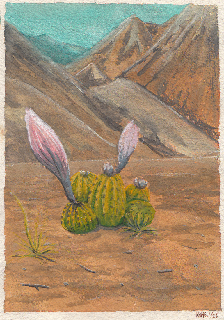 Trichocereus smrzianus