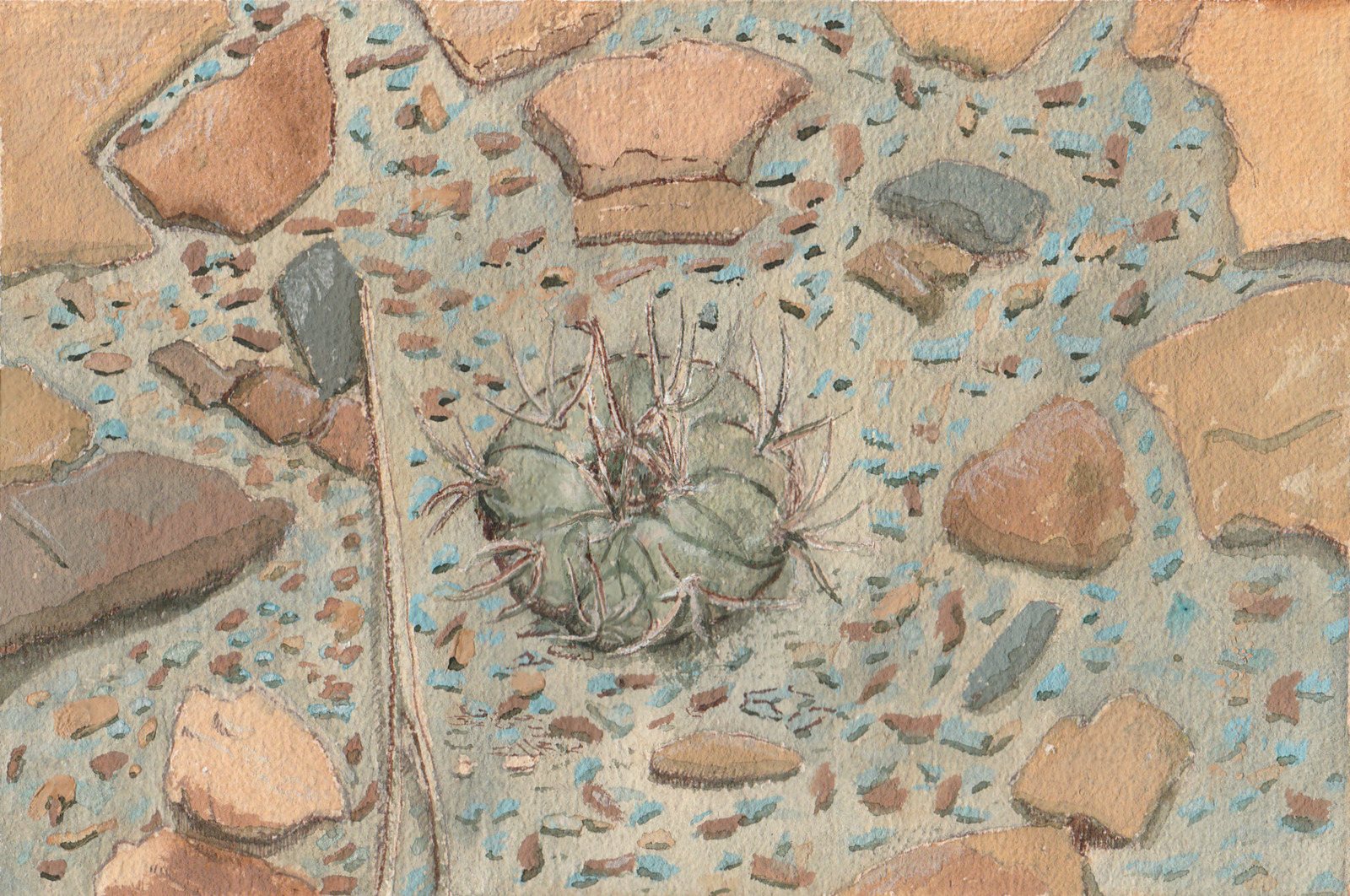 Weingartia kargliana