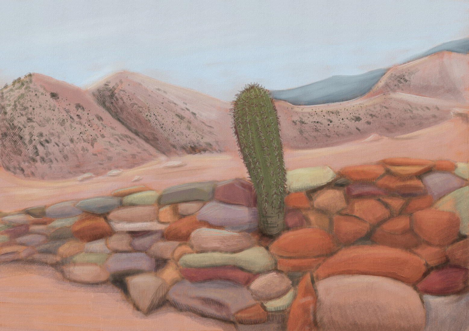 Echinopsis leucantha