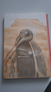 Tekeningen en schilderingen gemaakt voor het project 'de vervlieging van het wantserland'


