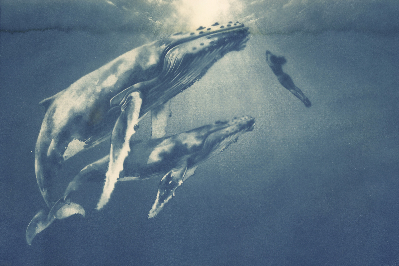 'In vertrouwen' Zeegrijs