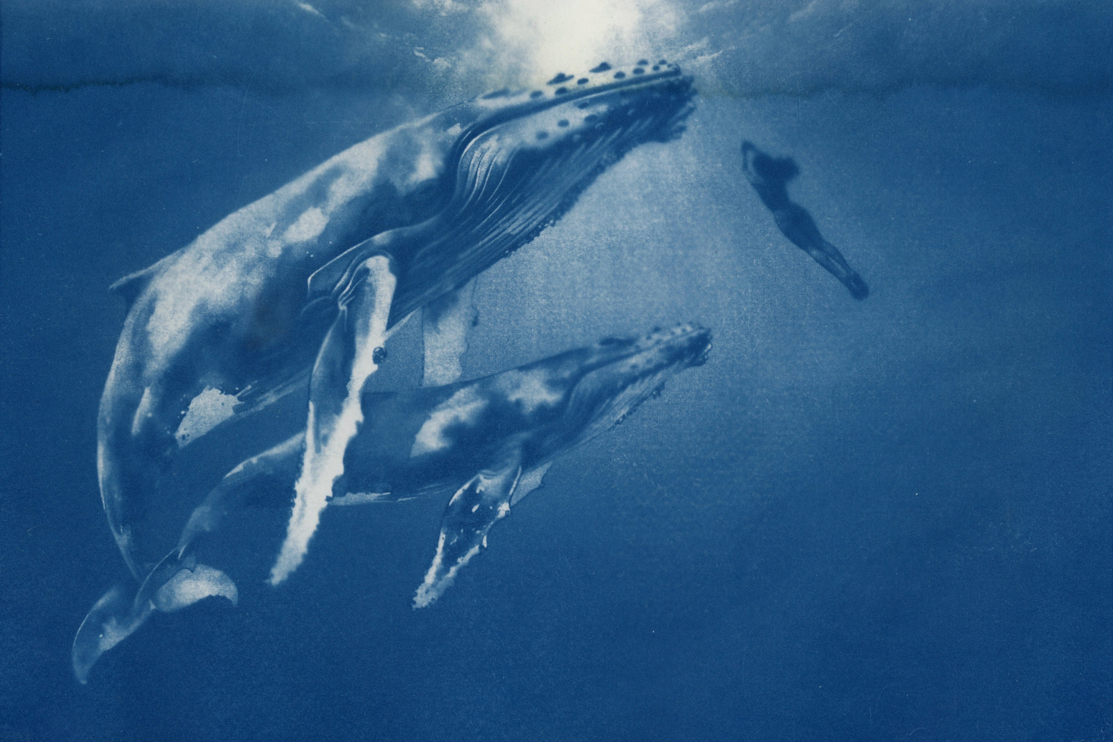 'In vertrouwen' Blauw