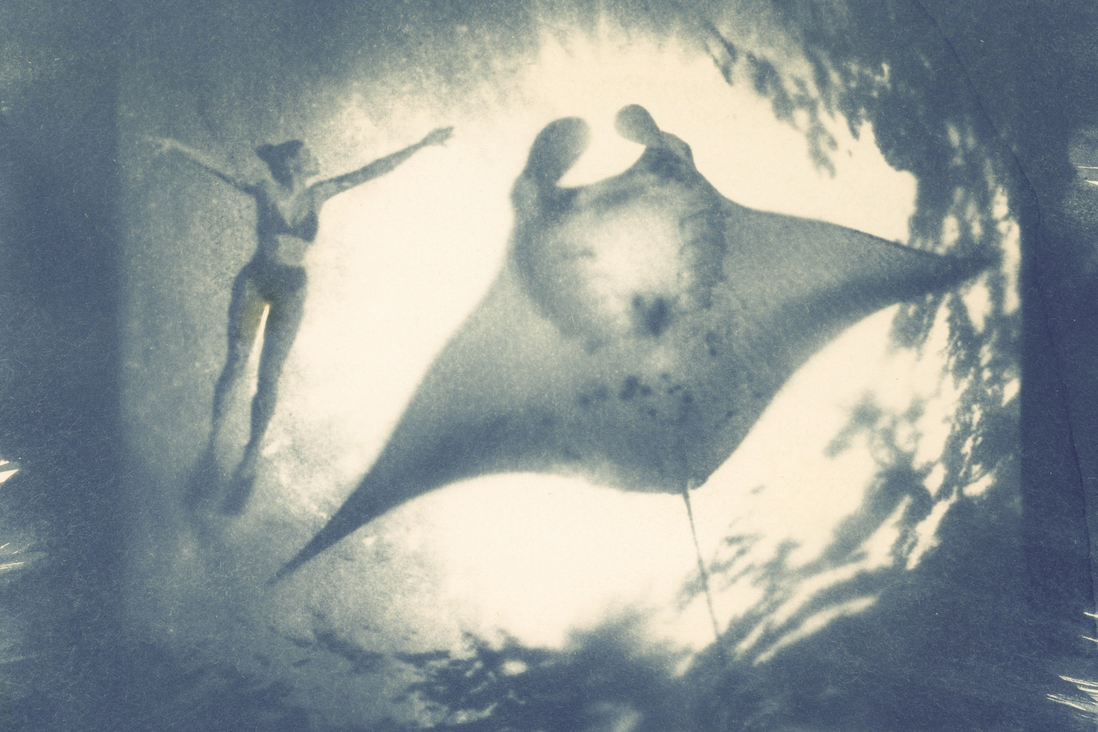 'Meedrijven' Zeegrijs