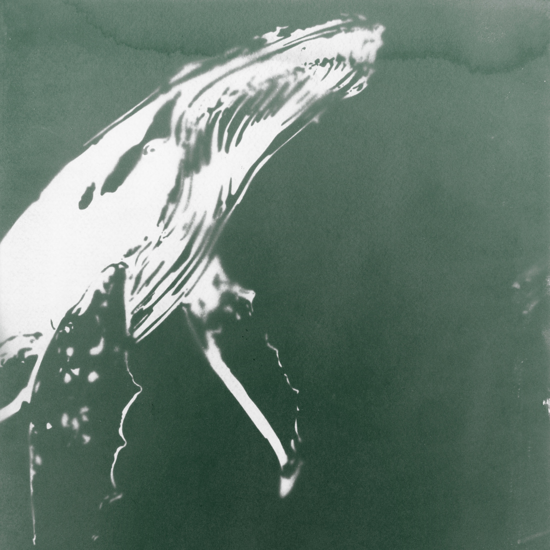 'Stille kracht' Groen