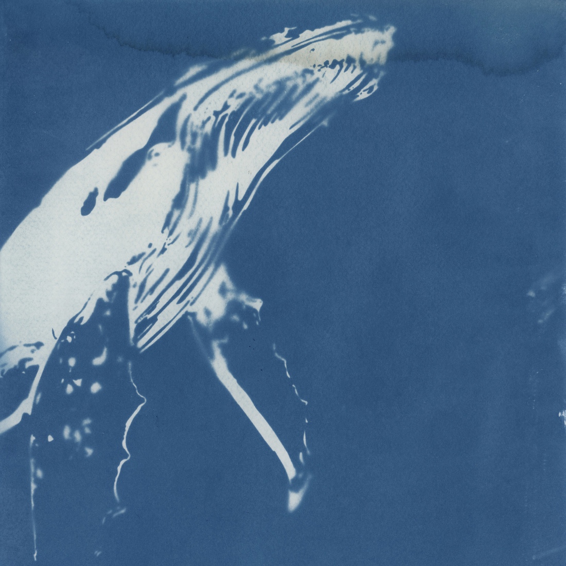 'Stille kracht' Blauw