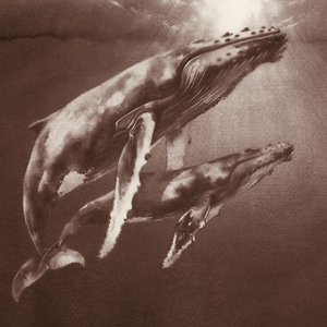 Voor het maken van cyanotypes schilder ik eerst een beeld, soms met zeewater en soms met verf, waarna ik het werkje omzet in een cyanotype afdruk. Zo ontstaat er een samenspel tussen handwerk en de kracht van natuurlijke elementen.
