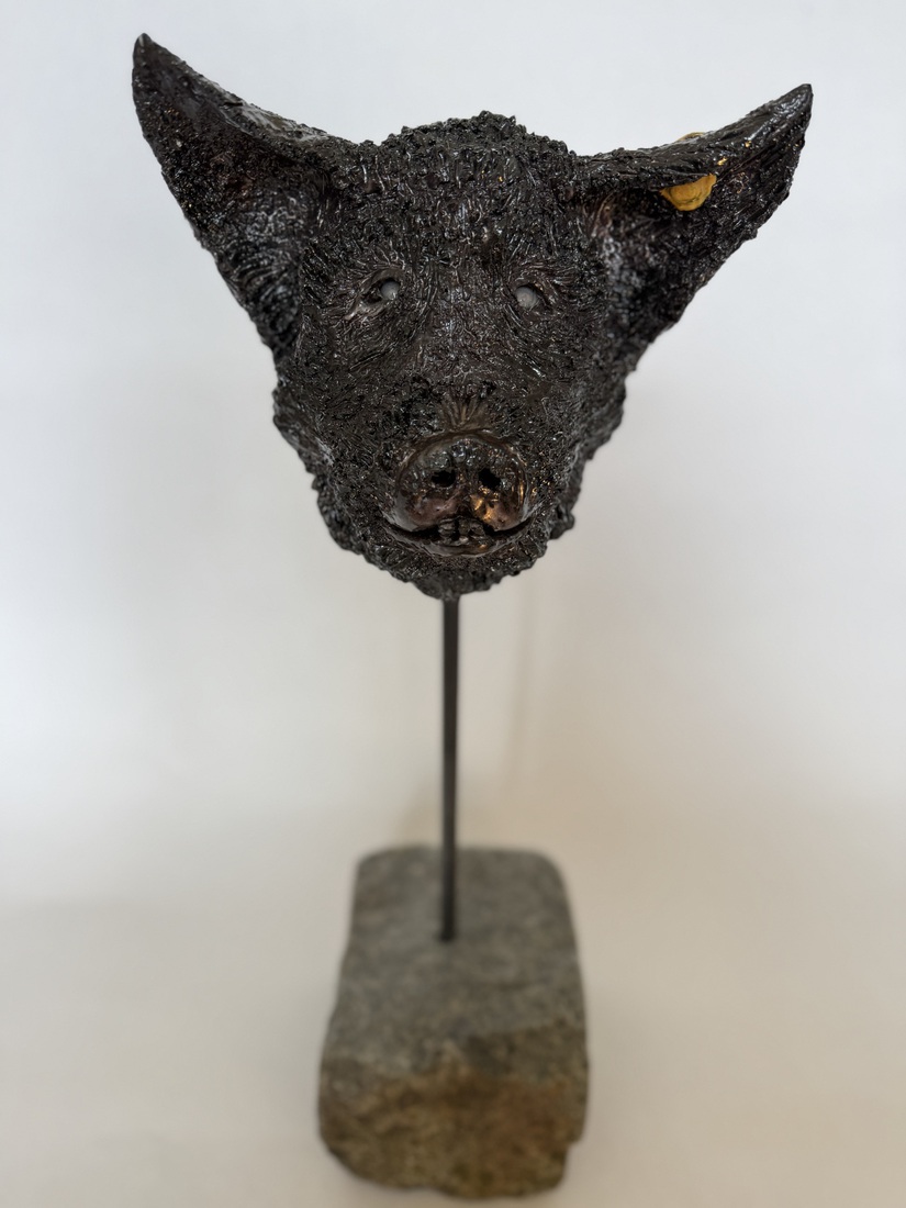 Pig 1