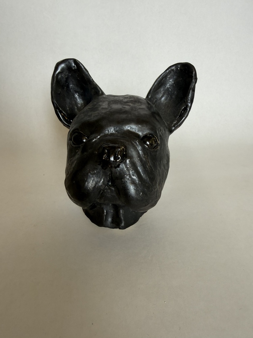 Portret van de Franse Bulldog 1