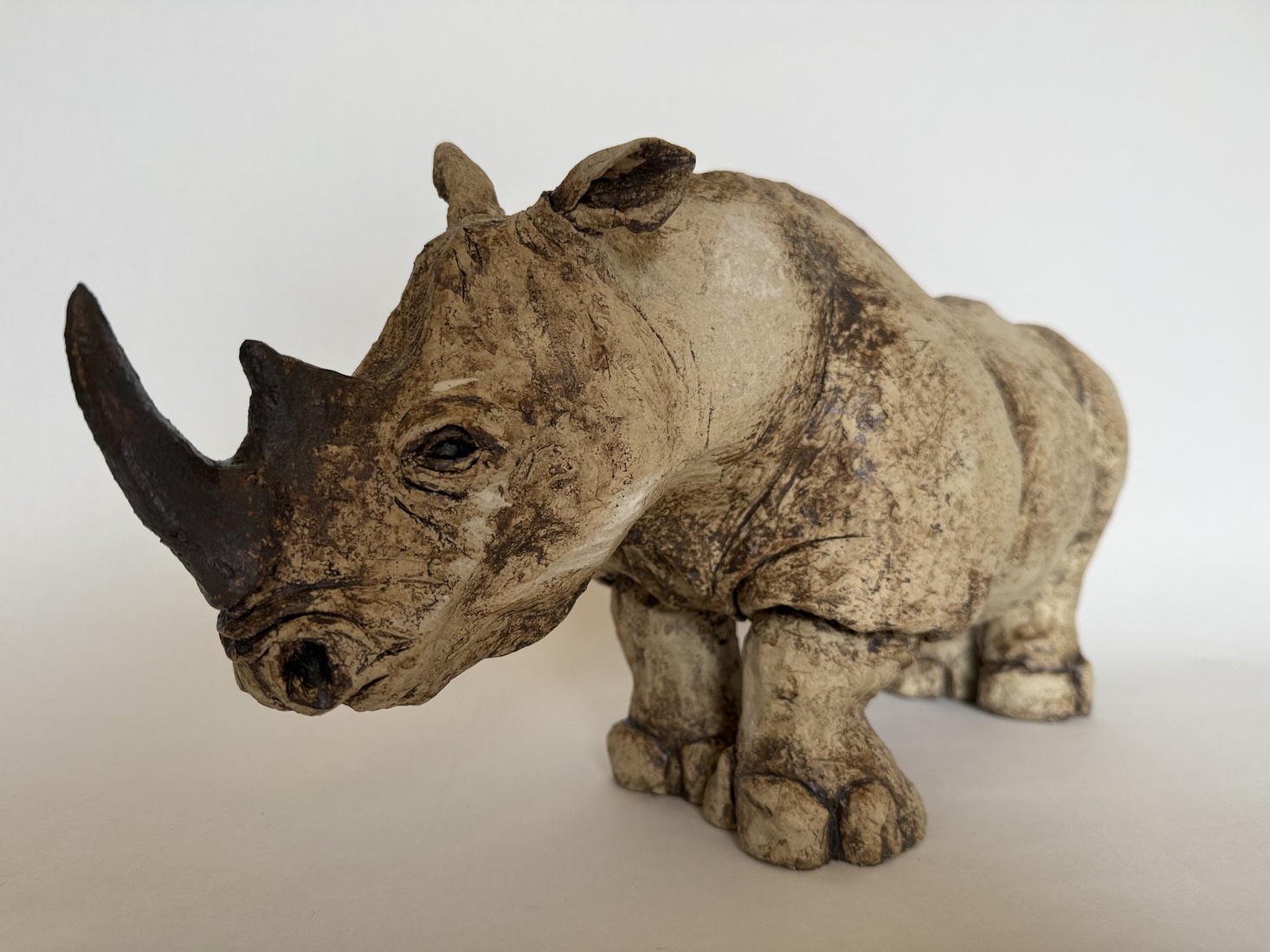 Rhino 1