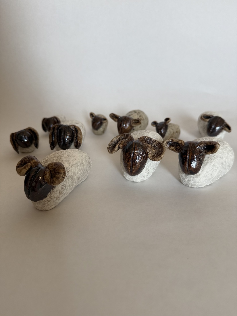 Schaap