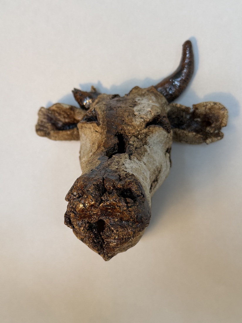 Broken horn Warrior 