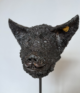 Verzameling van Dieren
