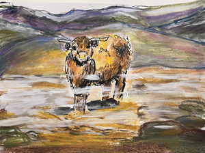 Vooral schapen, hazen en koeien.