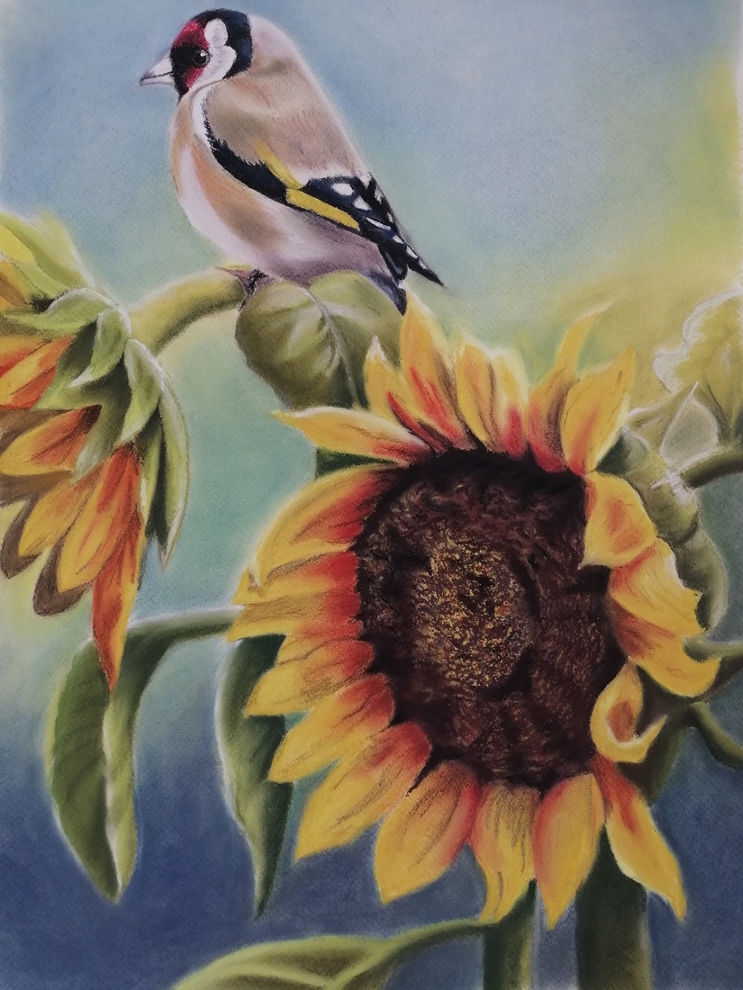 Zonnebloem met putter