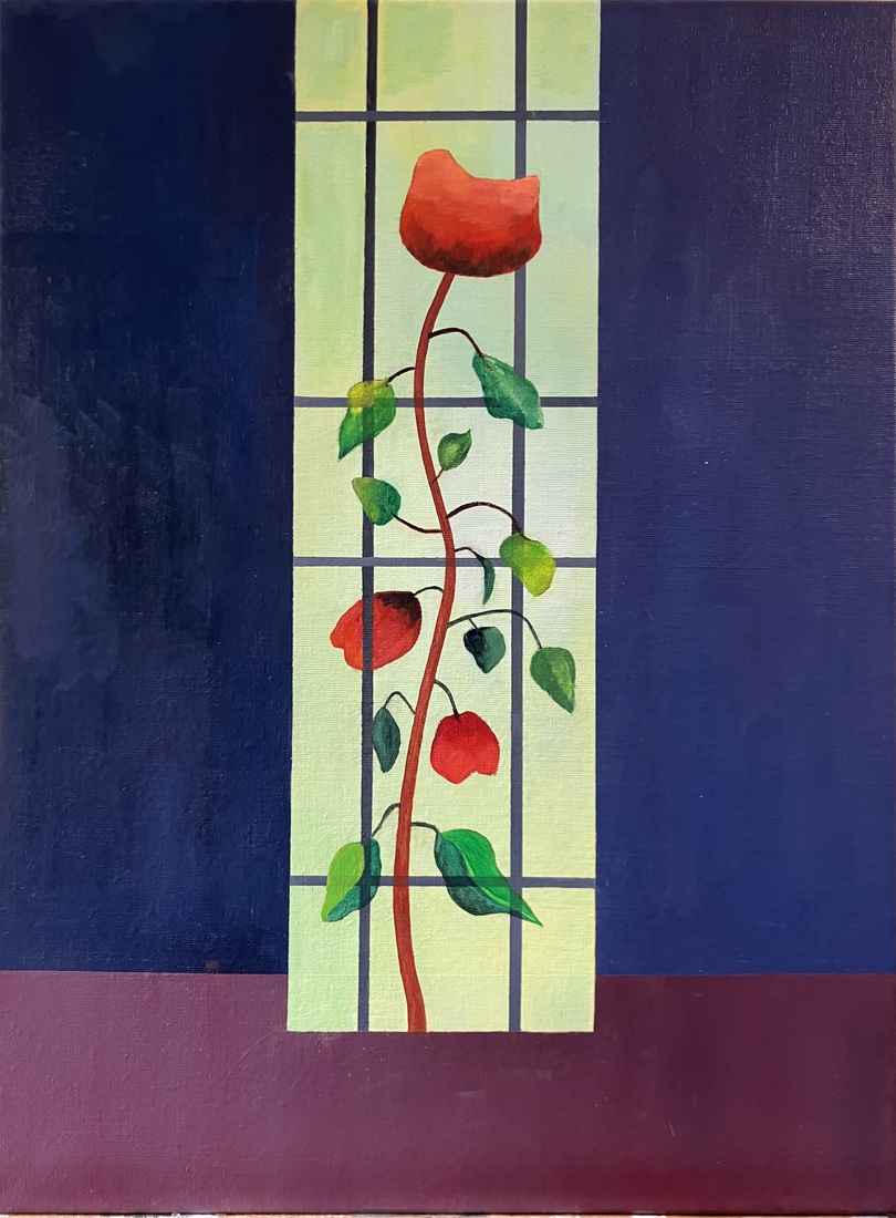 Window Rose