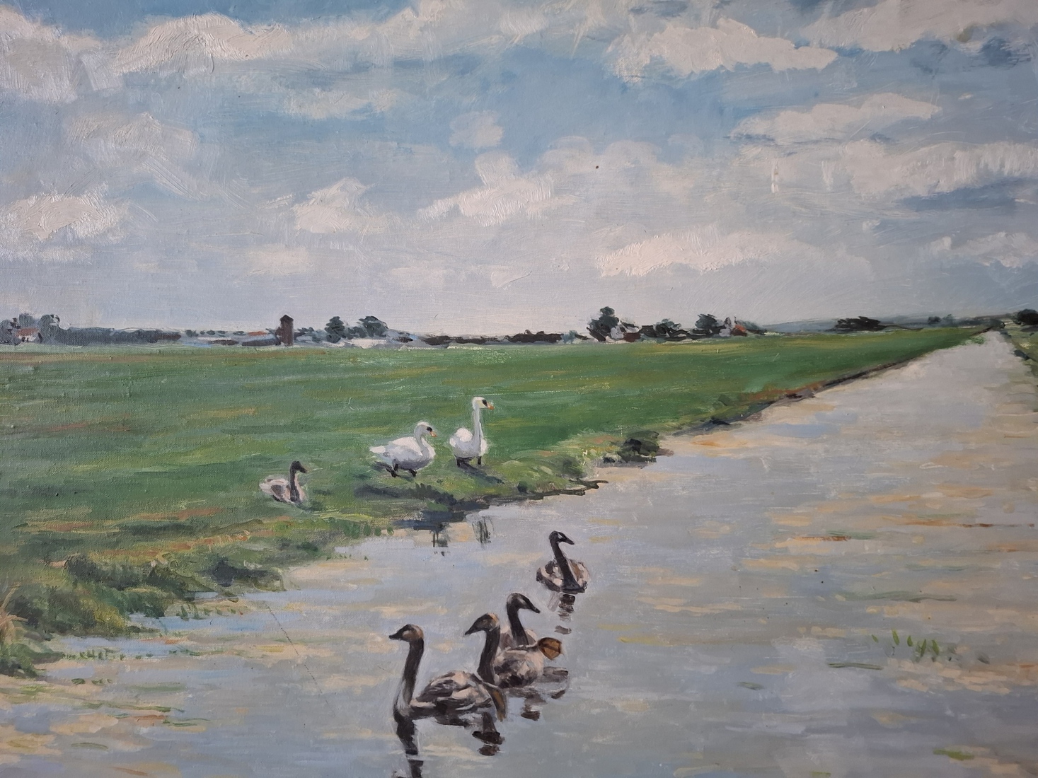 Zwanen familie